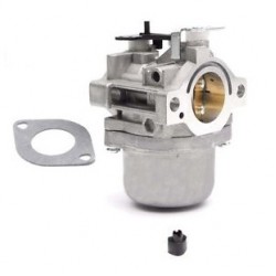 Karbiuratorius varikliams BRIGGS & STRATTON 495706, 498027, 498231, 499161, 799728