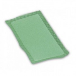 Pradinis filtras, oro filtras vejapjovėms 300011, gamintojui Briggs & Stratton Intek AVS 10 - 13 AG