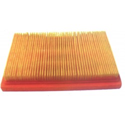 Oro filtras kinietiškai vejapjovei