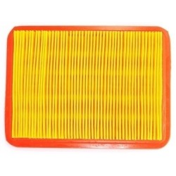 Oro filtras kinietiškai vejapjovei