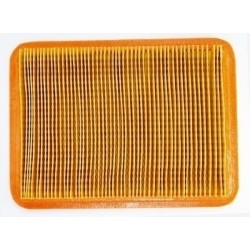 Oro filtras kinietiškai vejapjovei