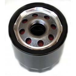 Alyvos/tepalo filtras benzininiams varikliams Briggs & Stratton trumpas