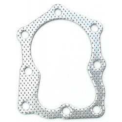 Galvos tarpinė varikliams su vertikaliu velenu gamintojui Briggs & Stratton Quantum