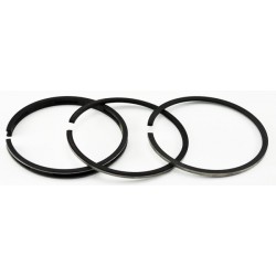 Žiedai stūmoklio gamintojui Briggs & Stratton Classic,Sprint.