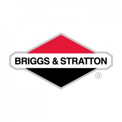 Varikliai BRIGGS & STRATTON